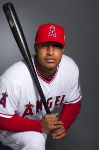 As atrocious as Wells has been with the Angels, he still has 36 HRs and 95 RBI in his 748 AB with Anaheim in the last 2 years. He could potentially hit 30 HRs this year with the Yankees if traded..