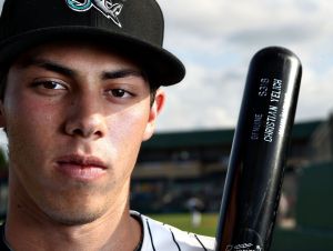 Yelich will turn just 22 this offseason, and is coming off of a .288/.370/.766 year - with 69 Hits in 62 Games Played in his Rookie campaign. Yelich, originally from Thousand Oaks, CA held a Career .886 OPS in the Minor League during his 1145 AB - and was the 13th Ranked Prospect by Baseball America in 2013.