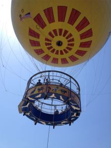 Photo: P. F. Sullivan