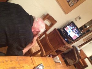 Photo: Paul F. Sullivan