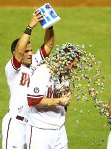 Photo: Mark J. Rebilas, USA TODAY Sports