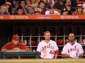 Harry How/Getty Images North America