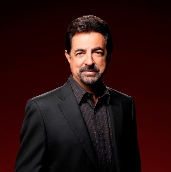 JoeMantegna.com