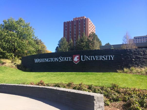 wsu12140795_10154730307449937_3808591418937453093_n