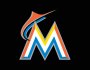 Miami Marlins Minor League&nbsp;System